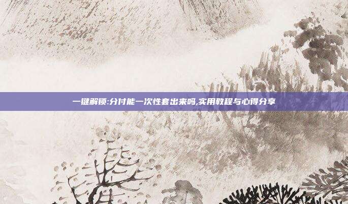 最新解锁:分付能一次性套出来吗,实用教程与心得分享
